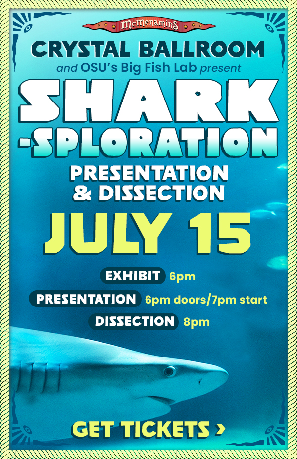 Shark Dissection